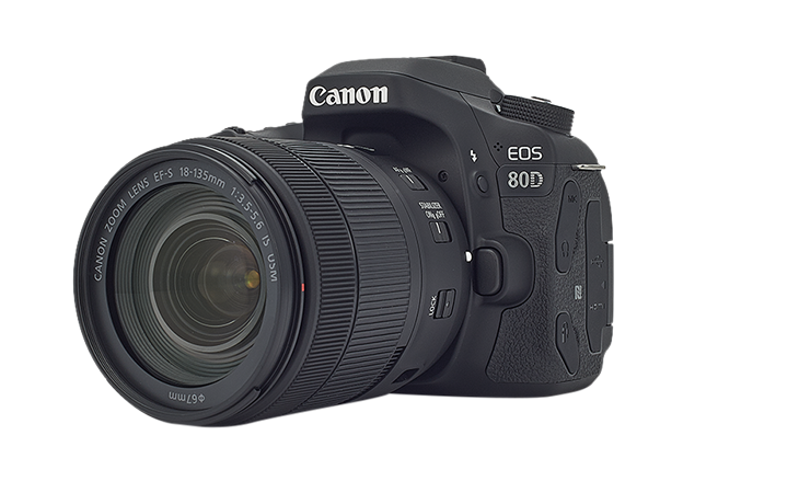 Smaak tweedehands Perceptueel Canon EOS 80D - EOS Digital SLR and Compact System Cameras - Canon Cyprus